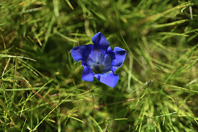 BUITEN BEELD Foto: 426185