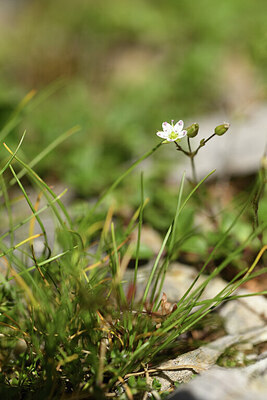 BUITEN BEELD Foto: 426201