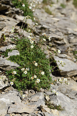 BUITEN BEELD Foto: 426206