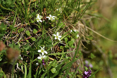 BUITEN BEELD Foto: 426214