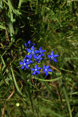 BUITEN BEELD Foto: 426216