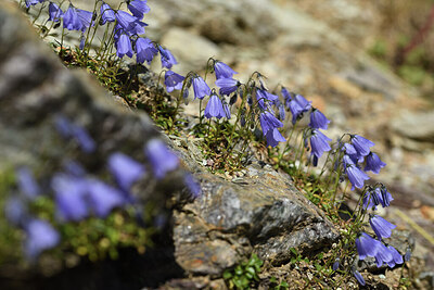 BUITEN BEELD Foto: 426223