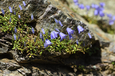 BUITEN BEELD Foto: 426224