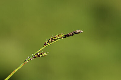 BUITEN BEELD Foto: 426225