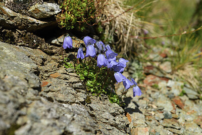 BUITEN BEELD Foto: 426226