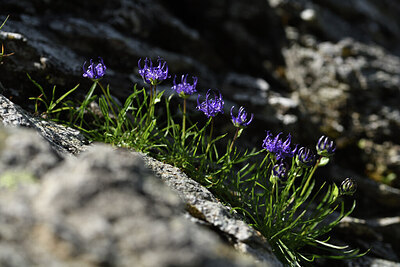 BUITEN BEELD Foto: 426229