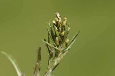 BUITEN BEELD Foto: 426231