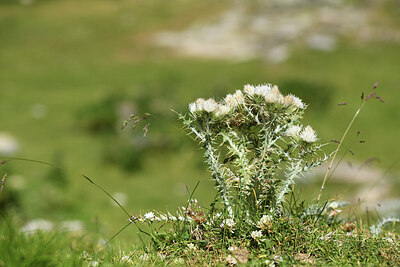 BUITEN BEELD Foto: 426233