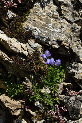 BUITEN BEELD Foto: 426238