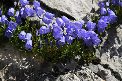 BUITEN BEELD Foto: 426245