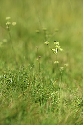 BUITEN BEELD Foto: 426252