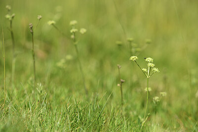 BUITEN BEELD Foto: 426253