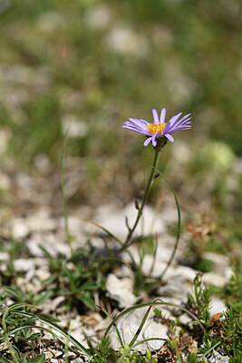 BUITEN BEELD Foto: 426255