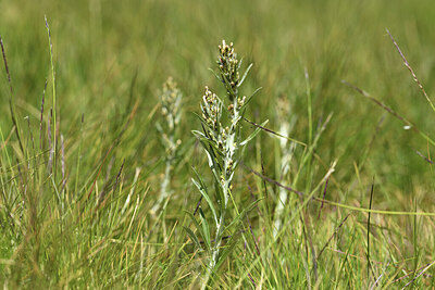 BUITEN BEELD Foto: 426256