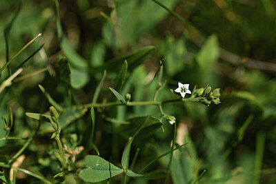 BUITEN BEELD Foto: 426259