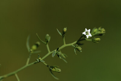 BUITEN BEELD Foto: 426260