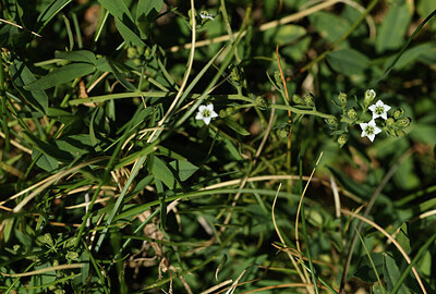 BUITEN BEELD Foto: 426262