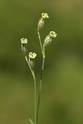 BUITEN BEELD Foto: 426272