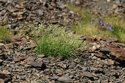 BUITEN BEELD Foto: 426280