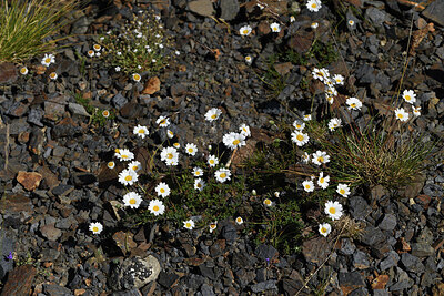 BUITEN BEELD Foto: 426282