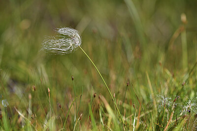 BUITEN BEELD Foto: 426289