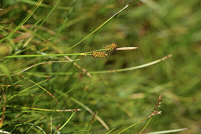 BUITEN BEELD Foto: 426291
