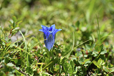 BUITEN BEELD Foto: 426292