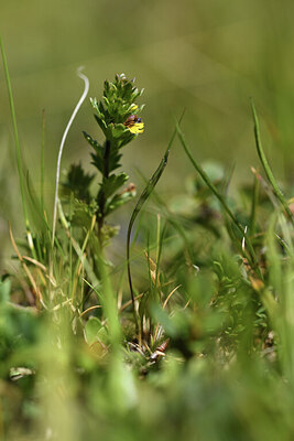 BUITEN BEELD Foto: 426294