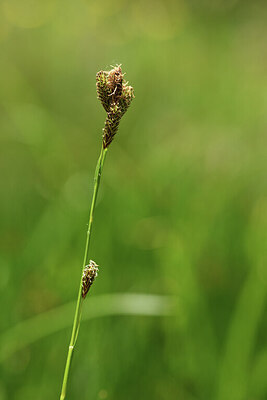 BUITEN BEELD Foto: 426322