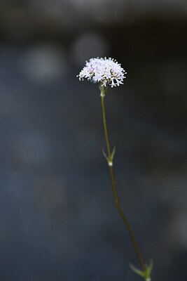 BUITEN BEELD Foto: 426398