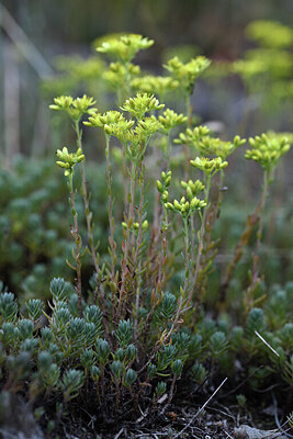 BUITEN BEELD Foto: 426406