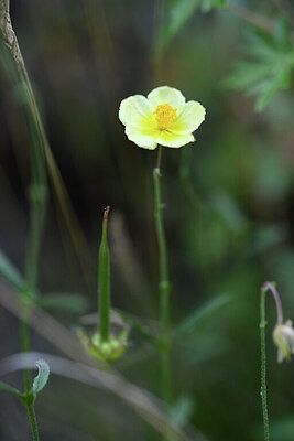 BUITEN BEELD Foto: 426416