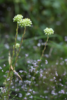 BUITEN BEELD Foto: 426422