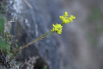 BUITEN BEELD Foto: 426424