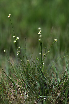 BUITEN BEELD Foto: 426429