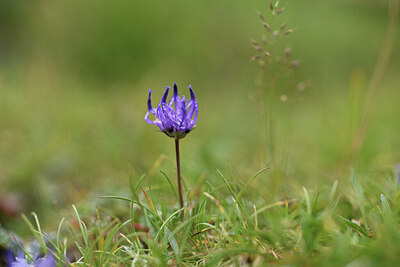 BUITEN BEELD Foto: 426496