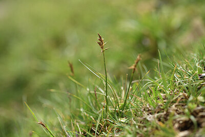 BUITEN BEELD Foto: 426499