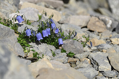 BUITEN BEELD Foto: 426530