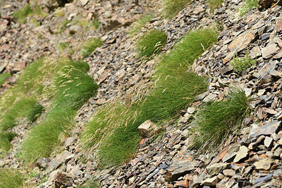 BUITEN BEELD Foto: 426561