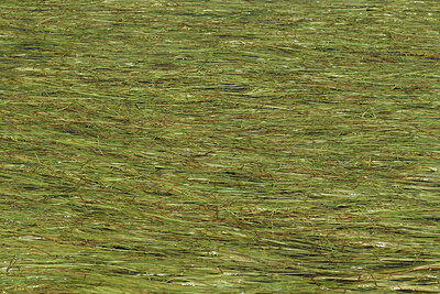 BUITEN BEELD Foto: 426565