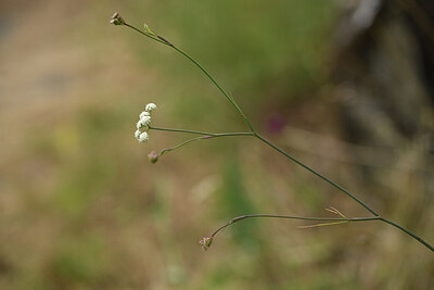 BUITEN BEELD Foto: 426581