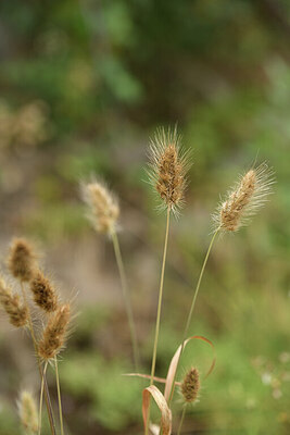 BUITEN BEELD Foto: 426593