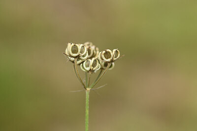 BUITEN BEELD Foto: 426601