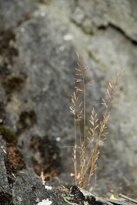 BUITEN BEELD Foto: 426613