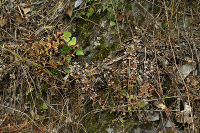 BUITEN BEELD Foto: 426623