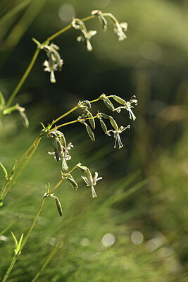 BUITEN BEELD Foto: 426646