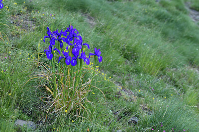 BUITEN BEELD Foto: 426648