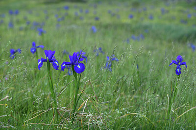 BUITEN BEELD Foto: 426651