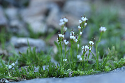 BUITEN BEELD Foto: 426656