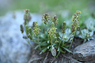 BUITEN BEELD Foto: 426658